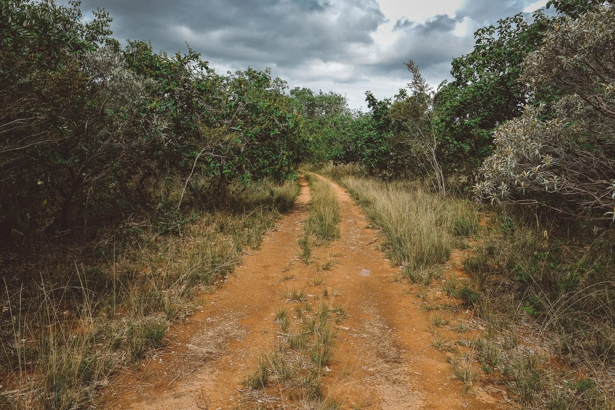 Trail to Cachoeira da Usina in Conselheiro Mata, Minas Gerais