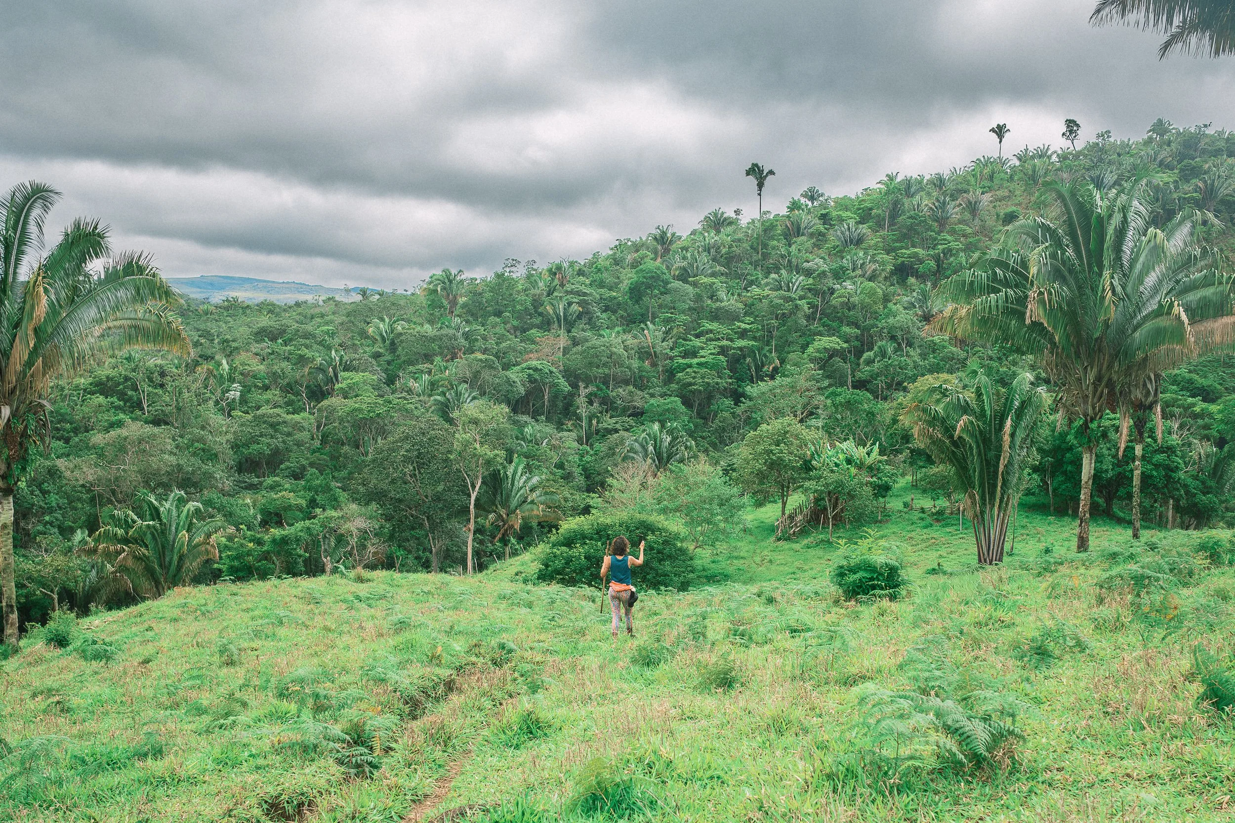 Ade hiking in a field of Indaiá palm trees, Mata dos Crioulos, Serra do Espinhaço