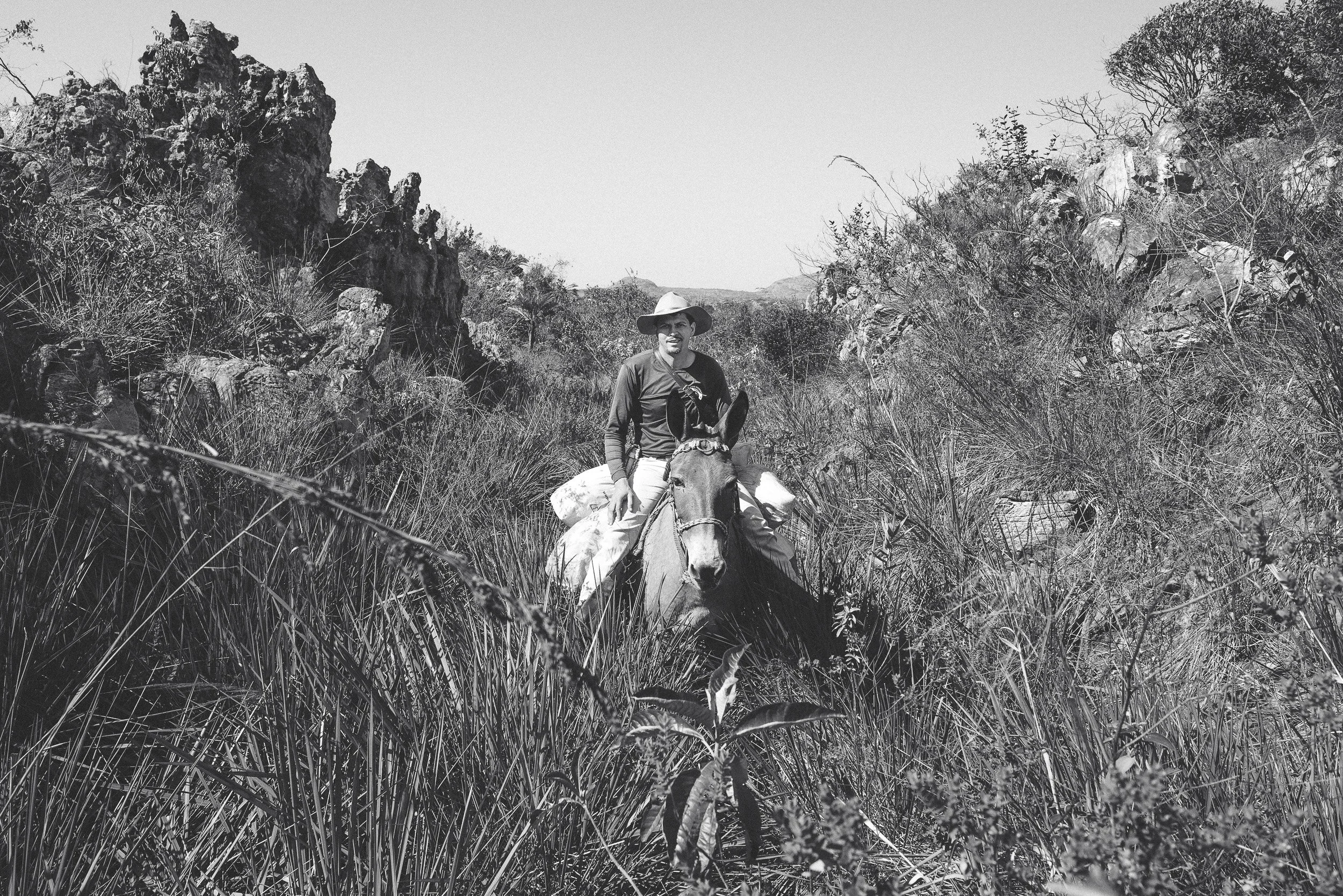 Guim rides Baiana through tall grass between rocky outcrops in Brazil's Serra do Espinhaço.