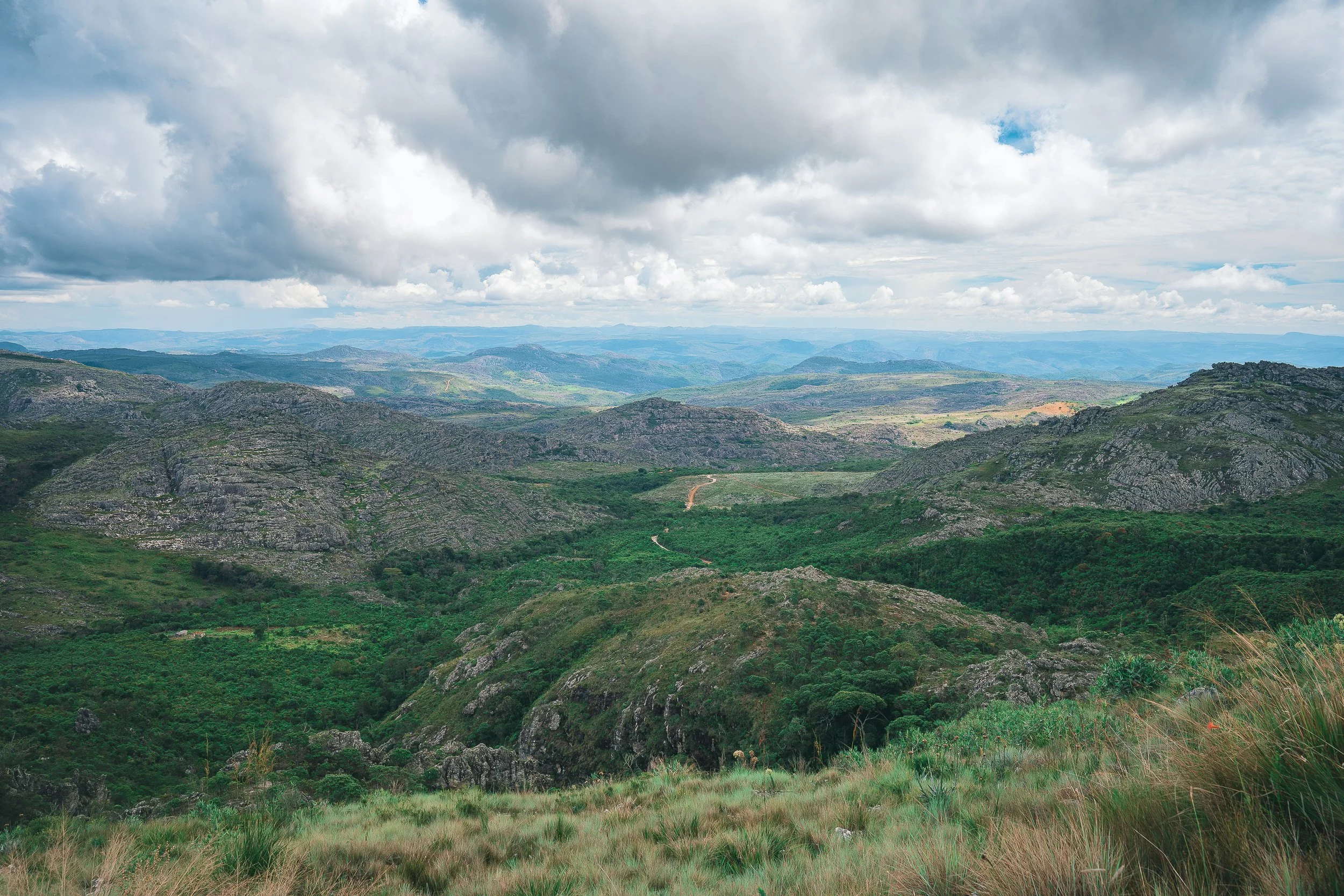 Pockets of Atlantic Forest near Pico do Itambé, Serra do Espinhaço