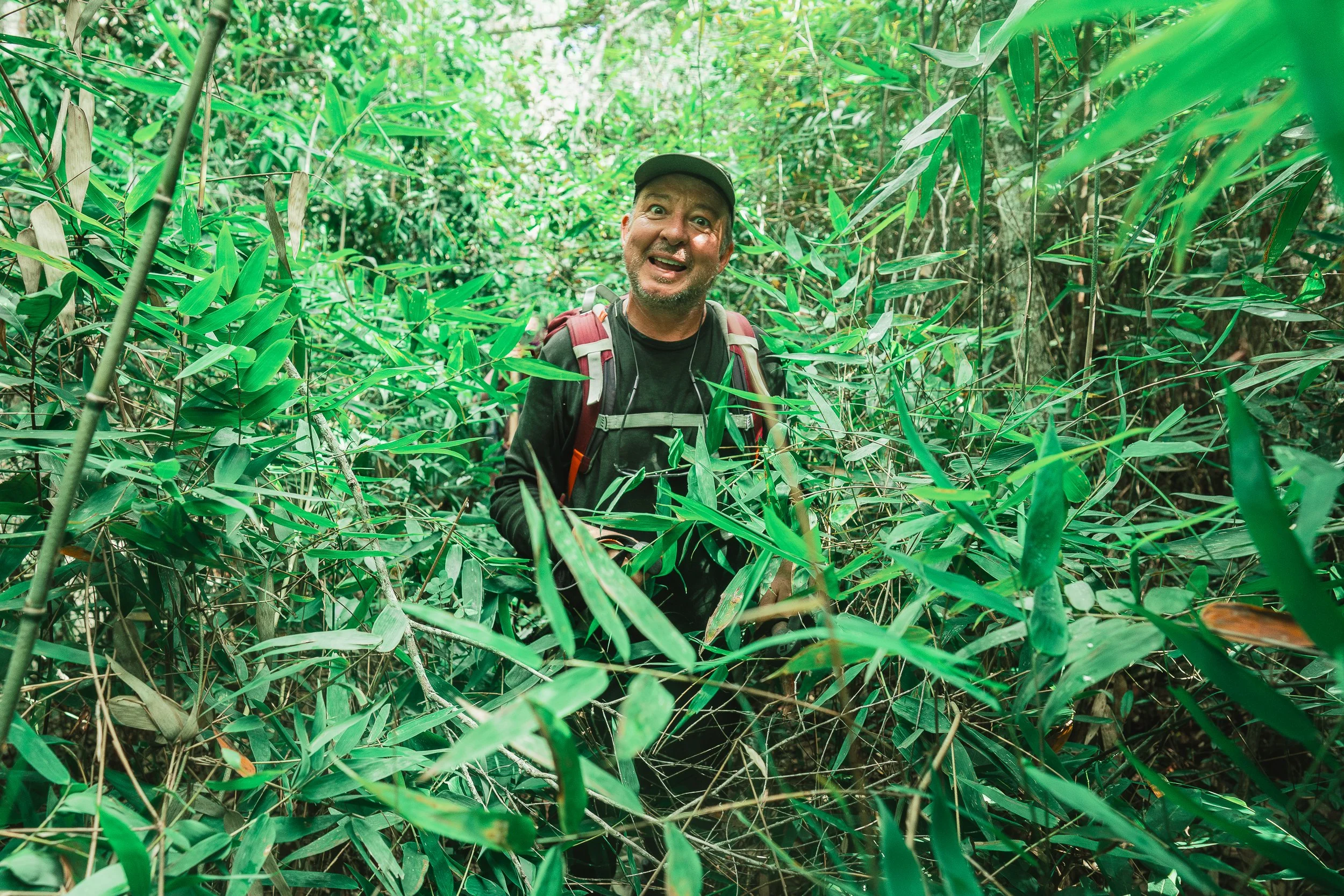 Bushwhacking in Taquaral, Sempre Vivas National Park