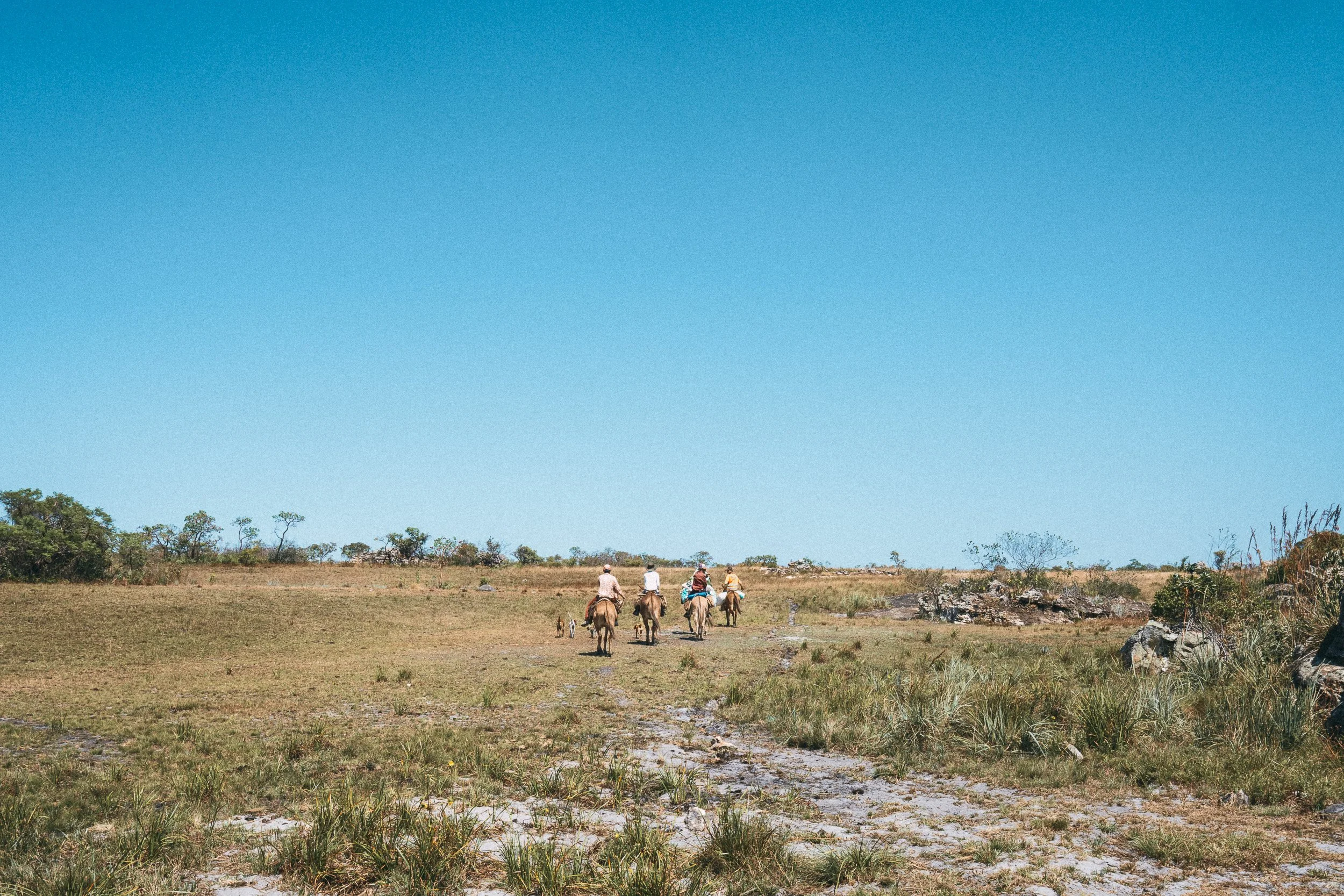 Four riders from Alves’s family travel across open highland grassland near Campos Tristes, with dogs following.