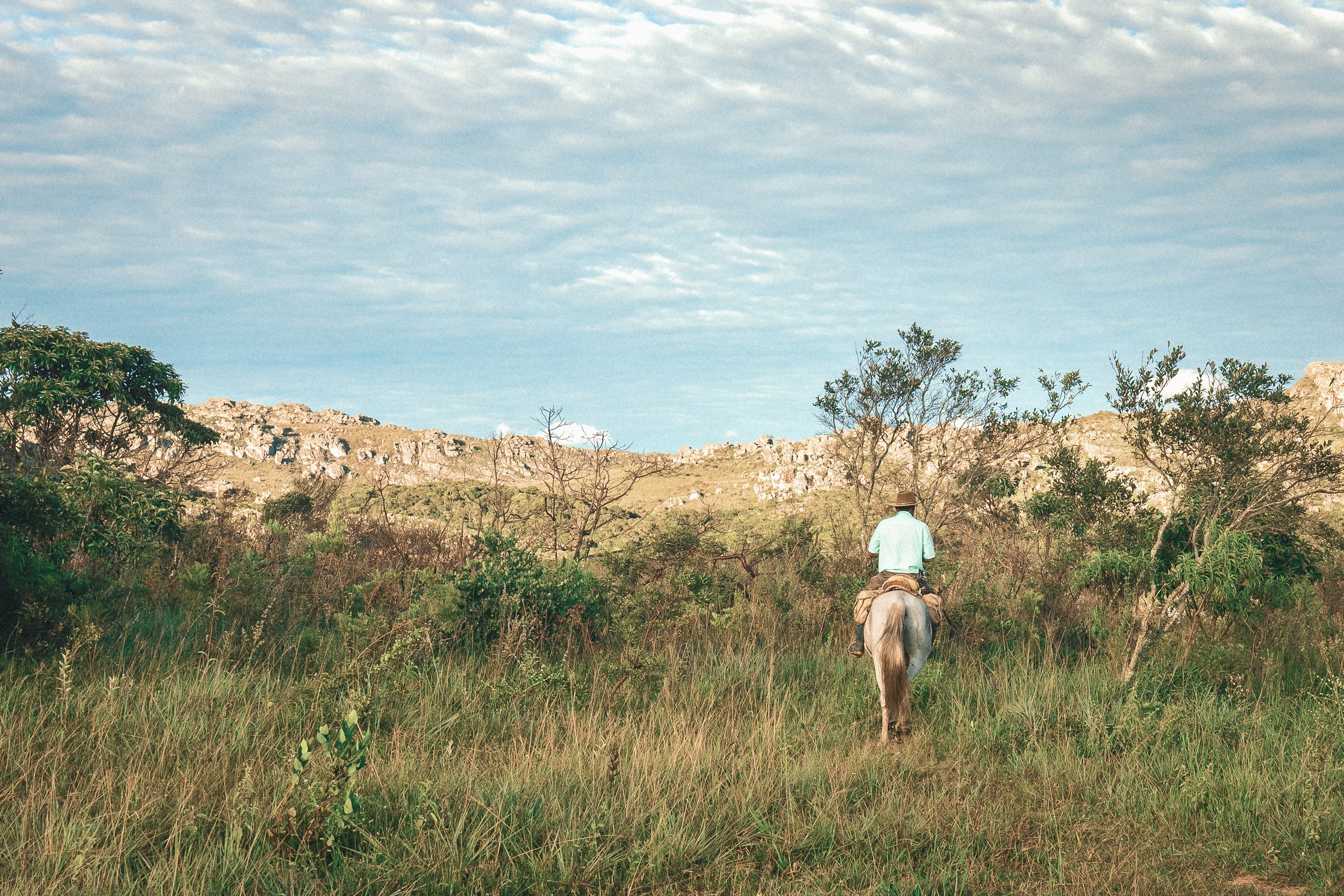 Santo riding his horse into the bush, with mountains in the background, Rio Preto State Park