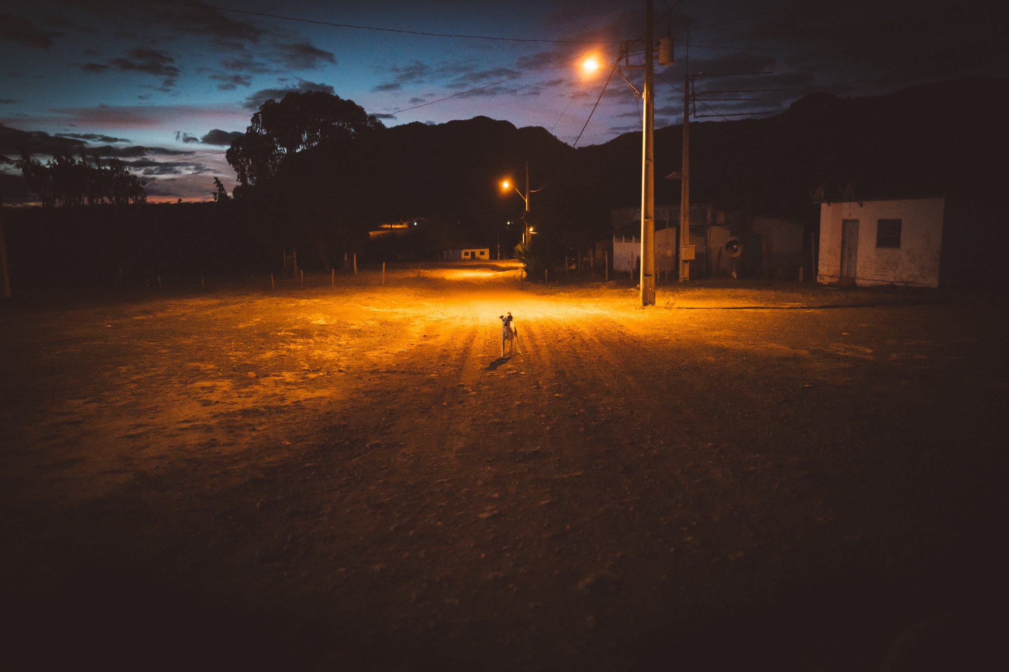 Tiago's & Neil's Trip -1-2.jpg