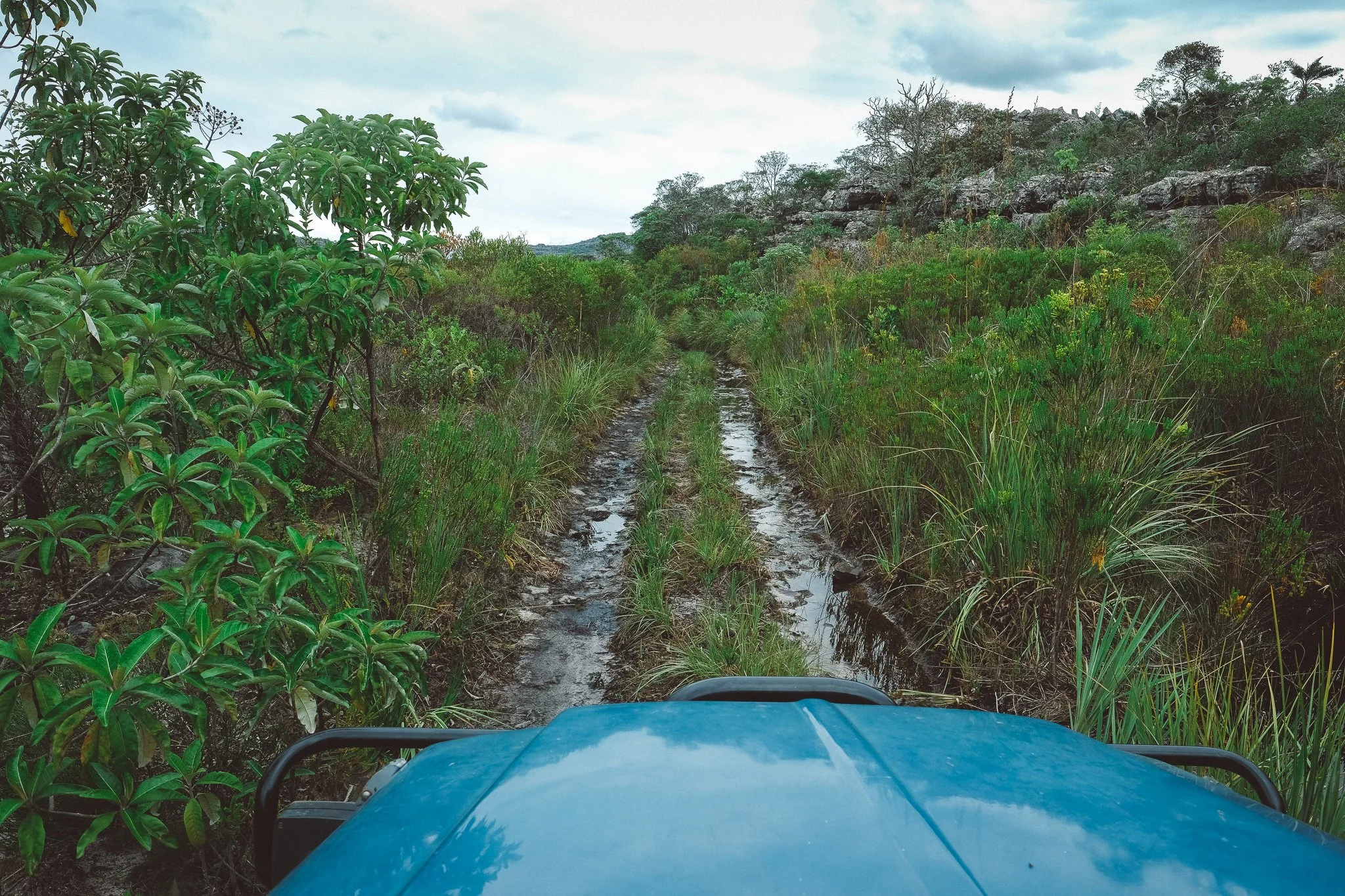 Northern Minas (Perrengue)-50.jpg