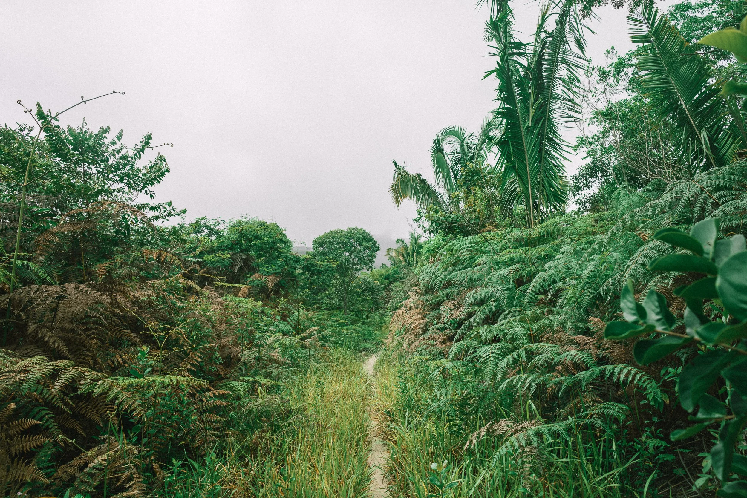 The trail to Noel's house in Bica d'Agua, Serra do Espinhaço
