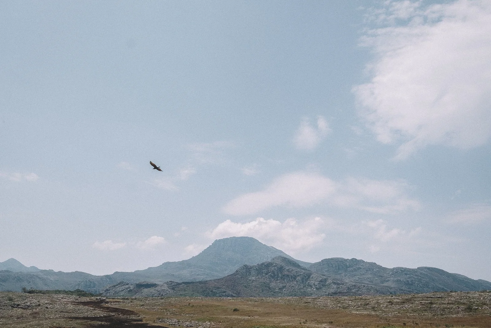 Espinhaco Oct 2021 Web-370.jpg