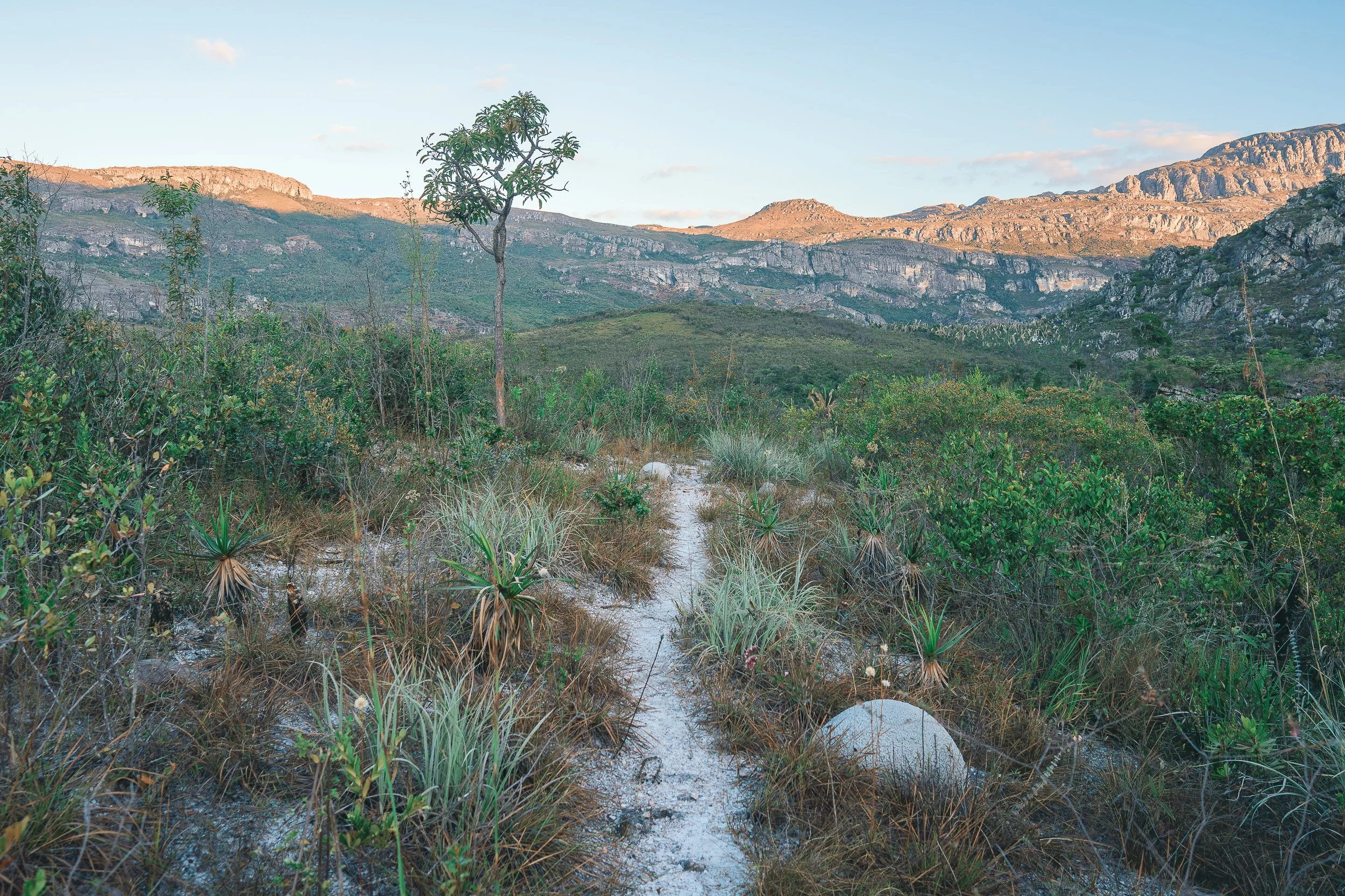 Trail in Itambé State Park. Serro, Minas Gerais (Serra do Espinhaço)