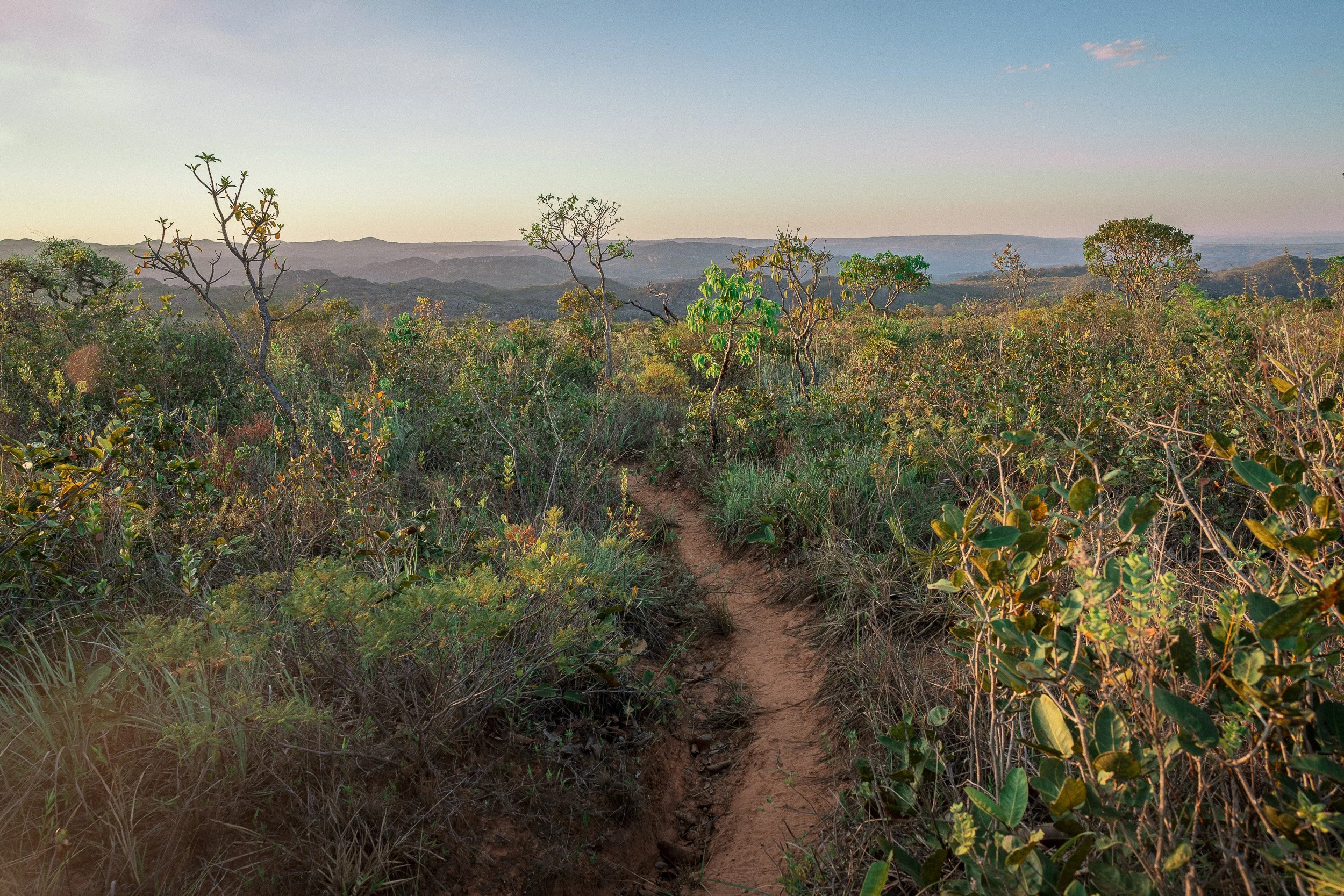 A narrow footpath winds between shrubs toward distant mountains in the warm evening light of the Espinhaço highlands.