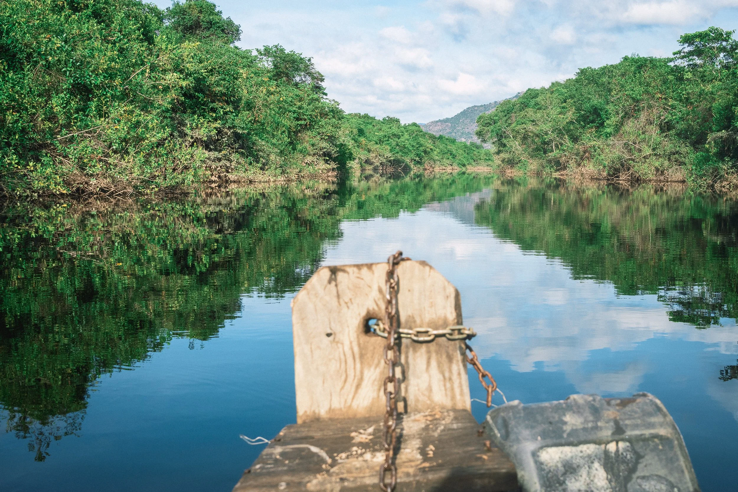 Field Trip #10-10.jpg