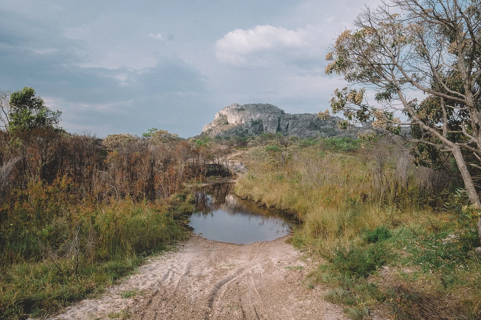 Tropeiro (mule-driver) trail near Curralinho, Diamantina. Serra do Espinhaço