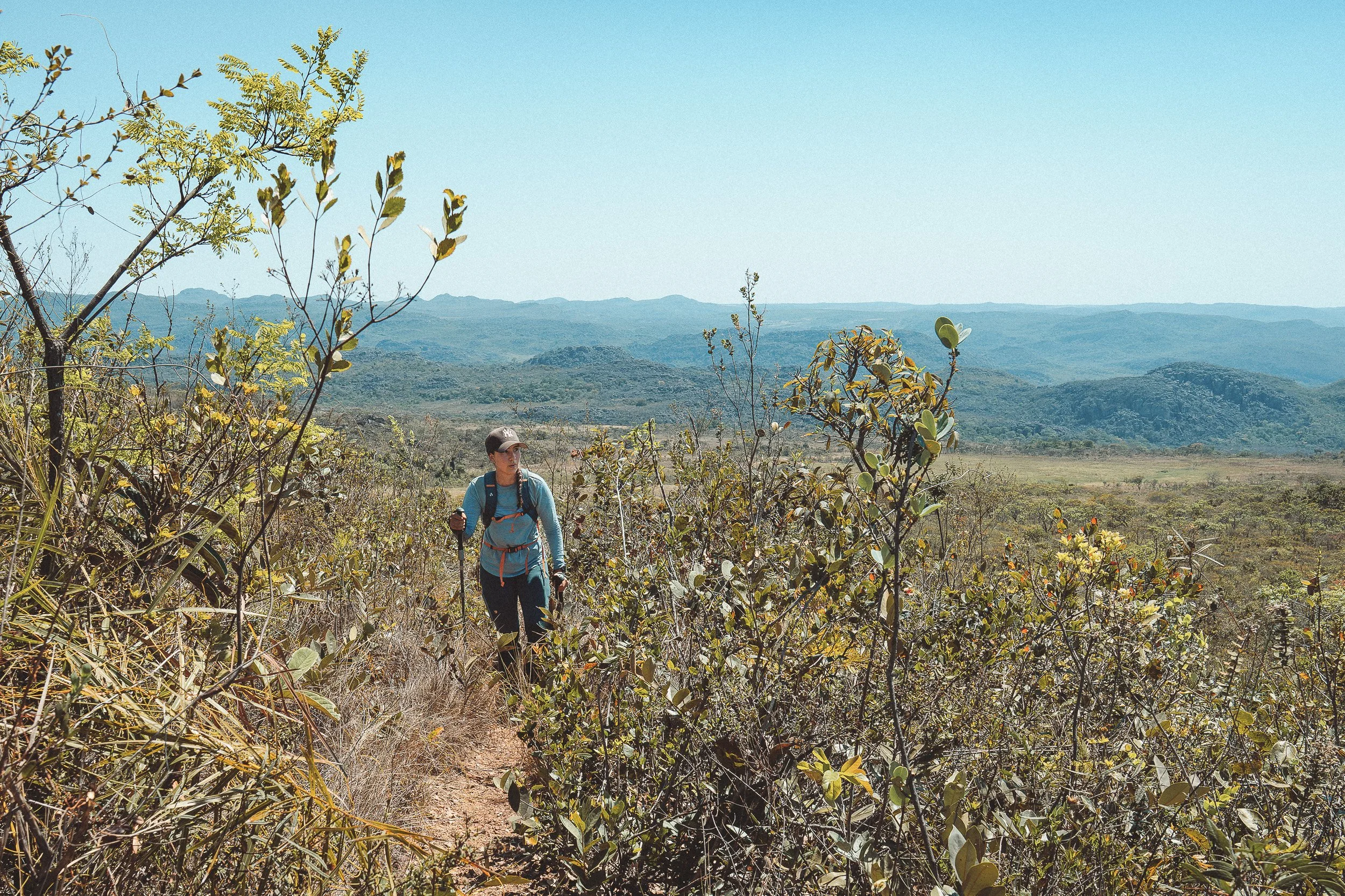 Elisa hiking through scrubby vegetation in Campos João Alves, Sempre Vivas National Park, with the Espinhaço highlands in the background.