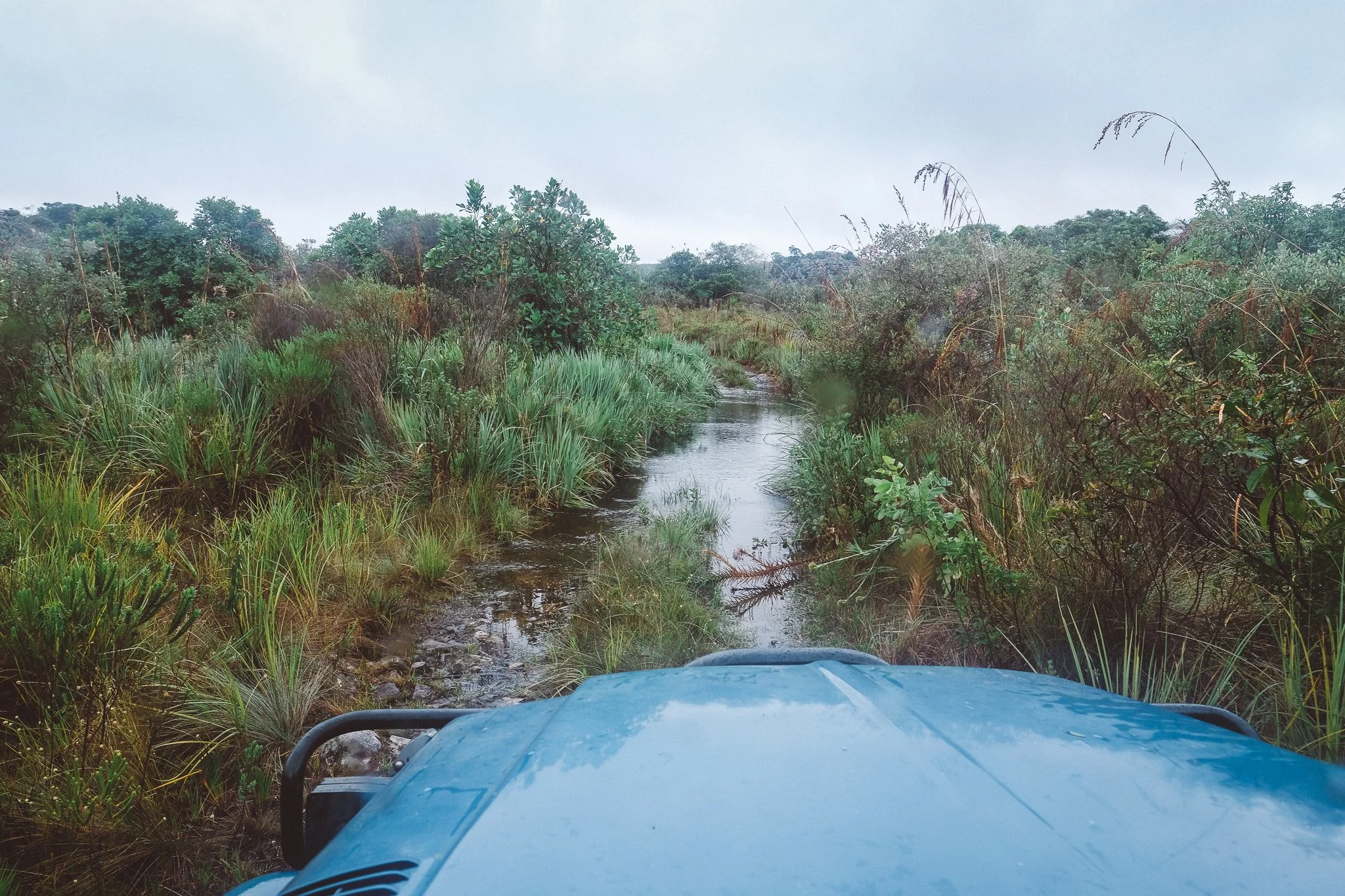 The road to Taquaral, Sempre Vivas National Park