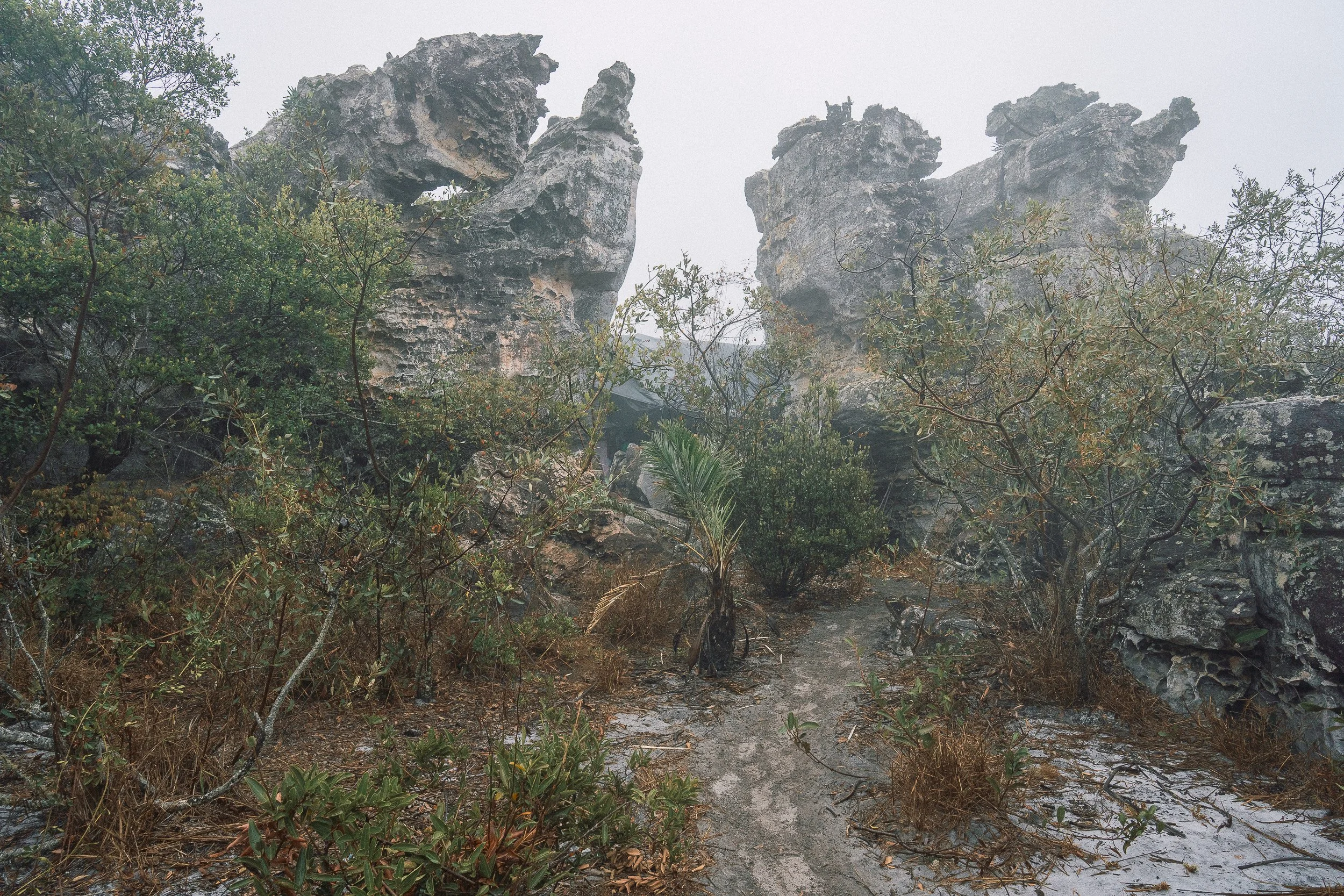 View of a makeshift tarp roof stretched between boulders at Leandro’s rock shelter in Campos Tristes.