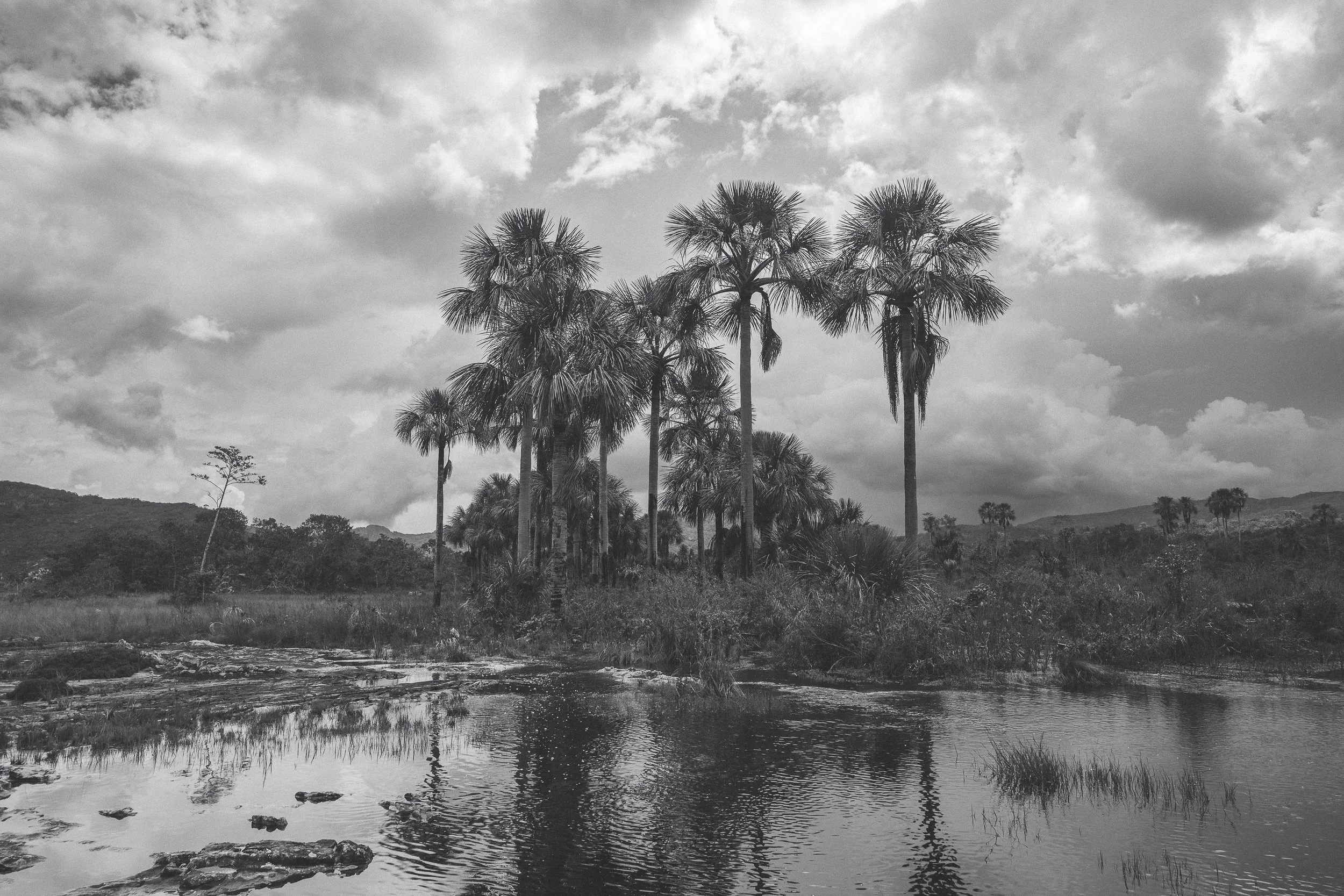 On the trail in Taquaral, Sempre Vivas National Park