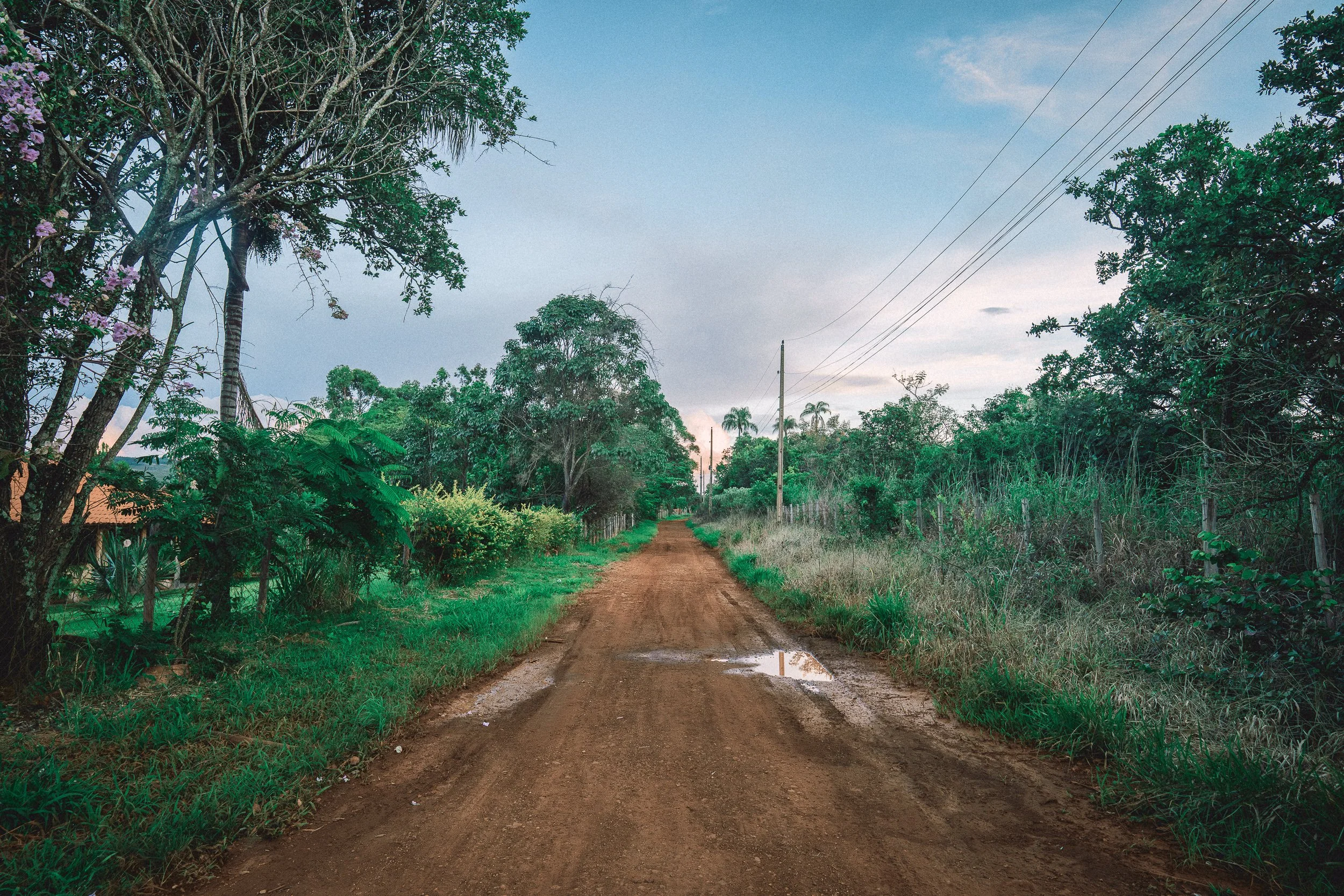 Dirt road in Conselheiro Mata, Minas Gerais