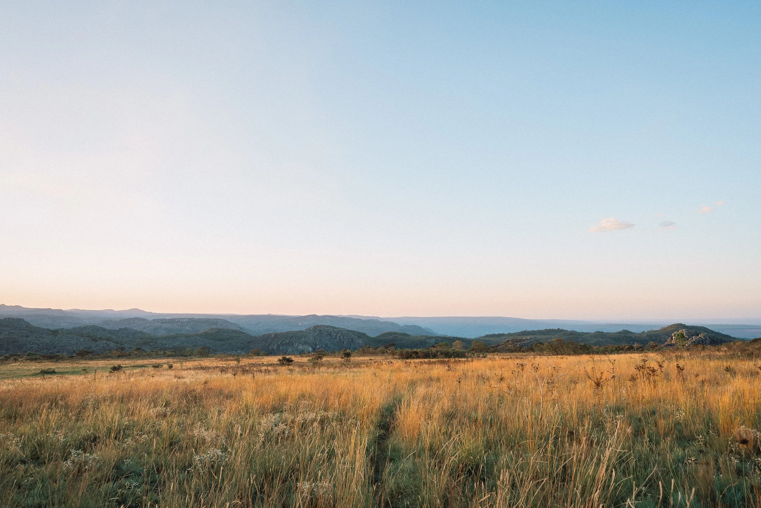A narrow footpath leads through golden fields toward distant mountains in the warm evening light of the Espinhaço highlands.