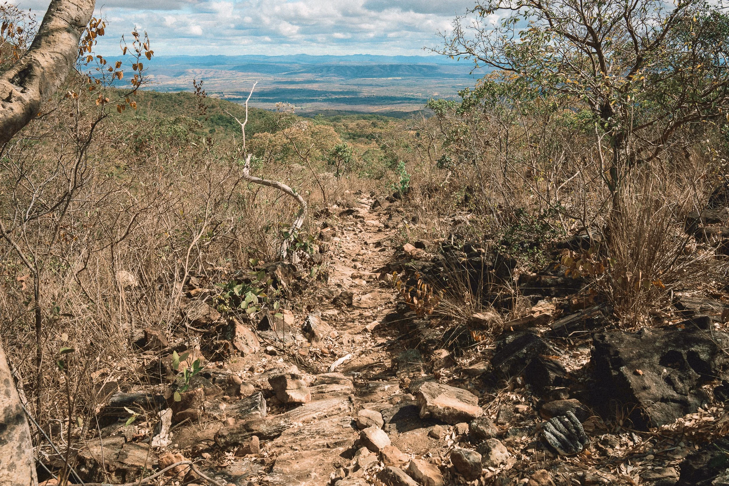 Estrada Real near Curimataí, Sempre Vivas National Park, Serra do Espinhaço