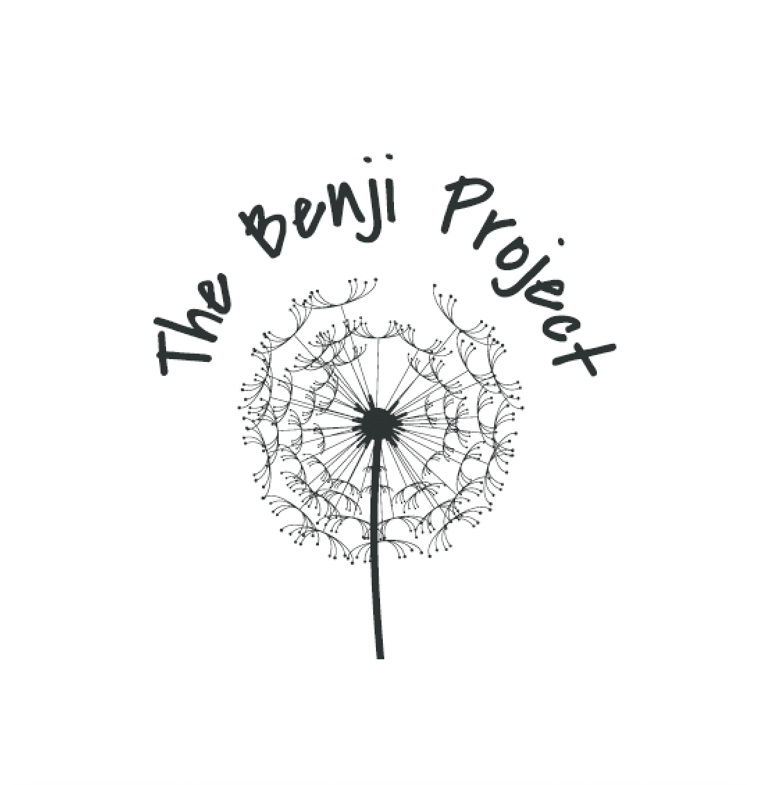 Filled! The Benji Project: Operations and Finance Director
