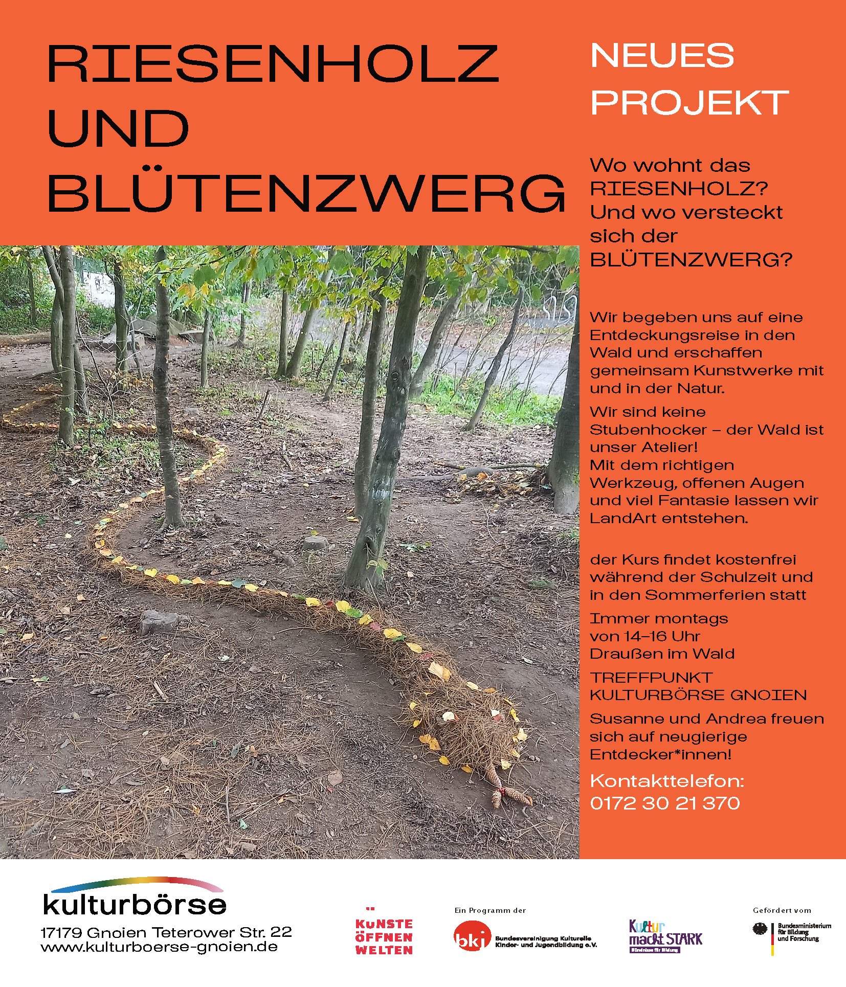 Neues Projekt: Riesenholz &amp; Blütenzwerg LandArt 
