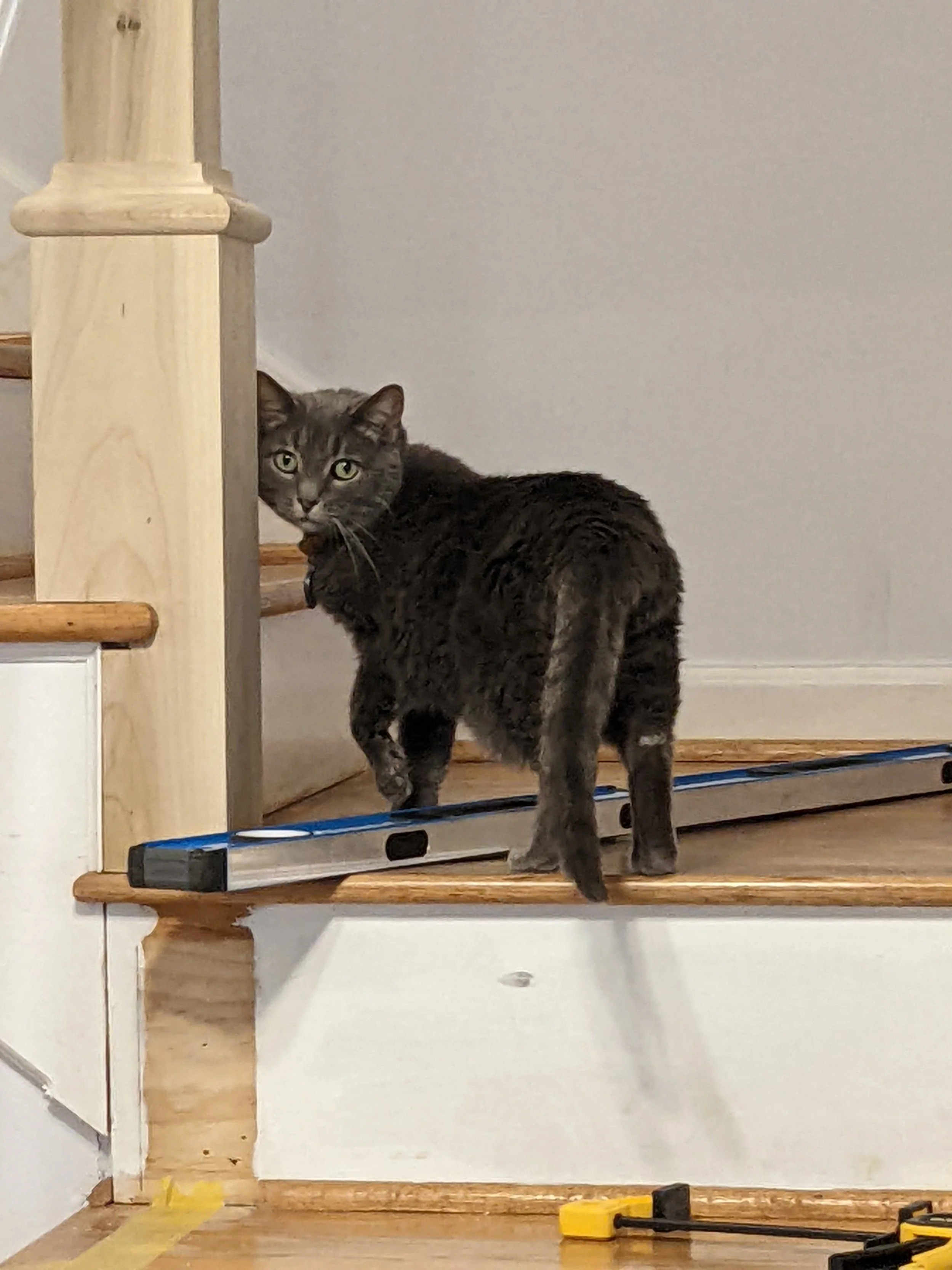 2022 Balustrade 5.jpg