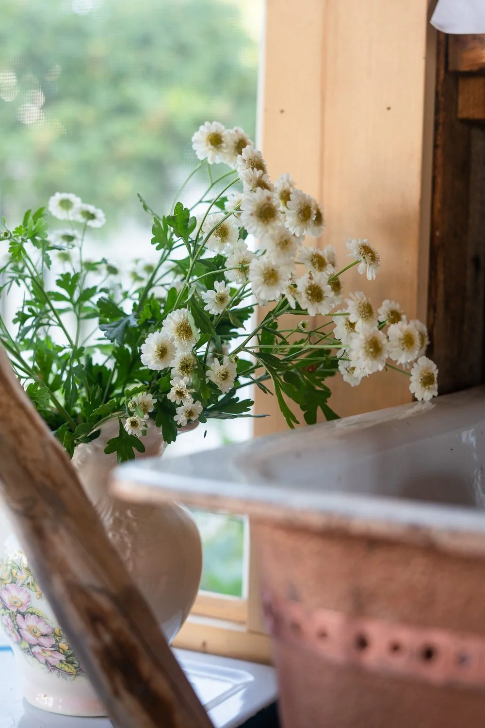 White daisies in a vase on a windowsill with a blurred outdoor view.