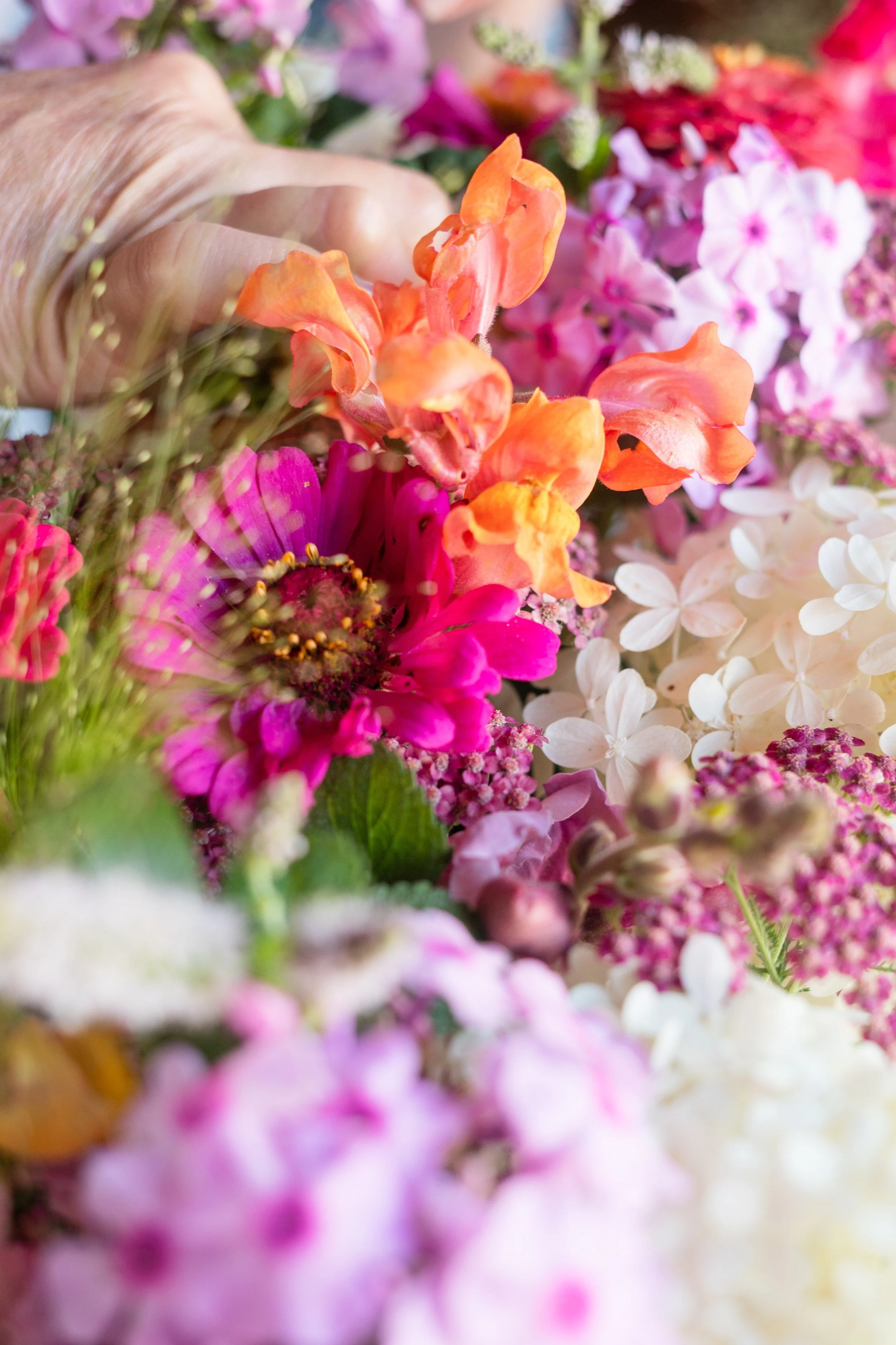 A person handling a vibrant bouquet of various colorful flowers, including pink, white, orange, and purple blooms.