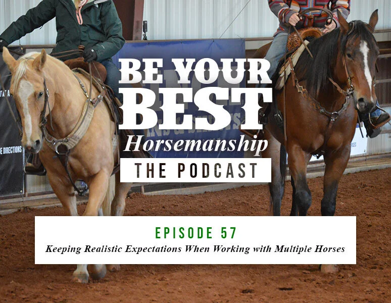 Ep 57: Keeping Realistic Expectations When Working With Multiple Horses