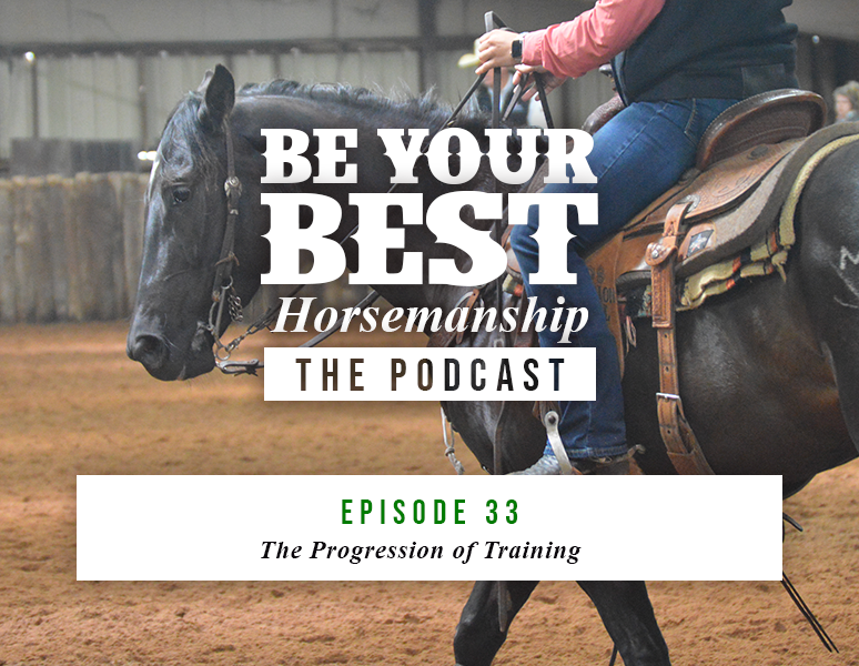 Ep 33: The Progression of Training 