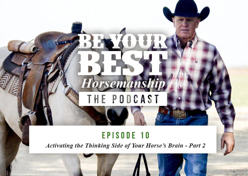 Ep 10: Activating the “Thinking Side” of Your Horse’s Brain | Part II