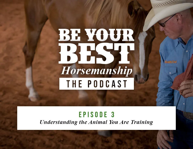 Ep 3: Understanding the Animal You Are Training