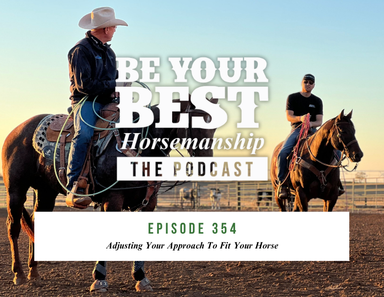 Ep 354: Adjusting Your Approach To Fit Your Horse