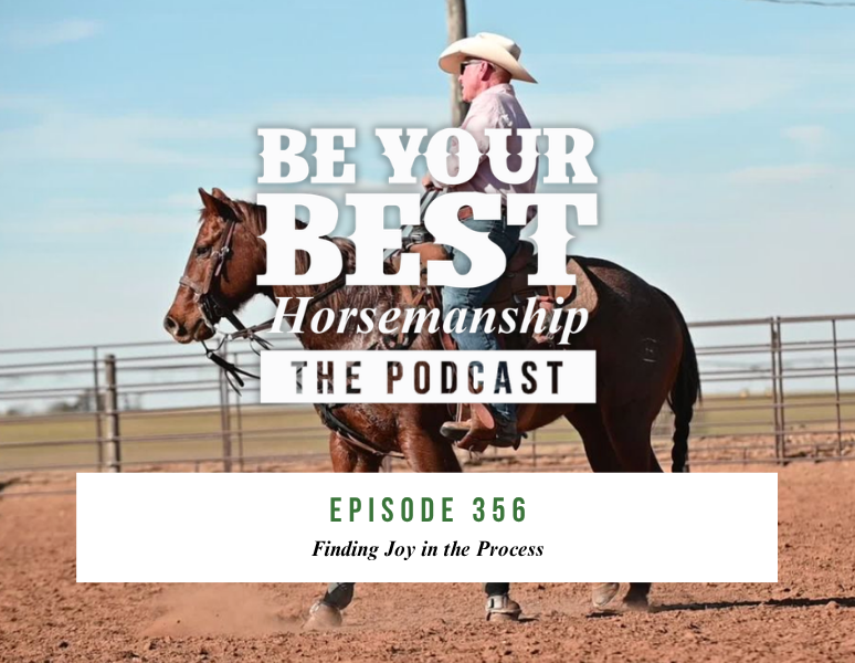Ep 356: Finding Joy in the Process