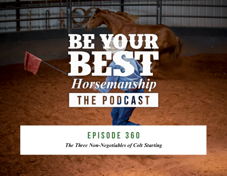Ep 360: The Three Non-Negotiables of Colt Starting