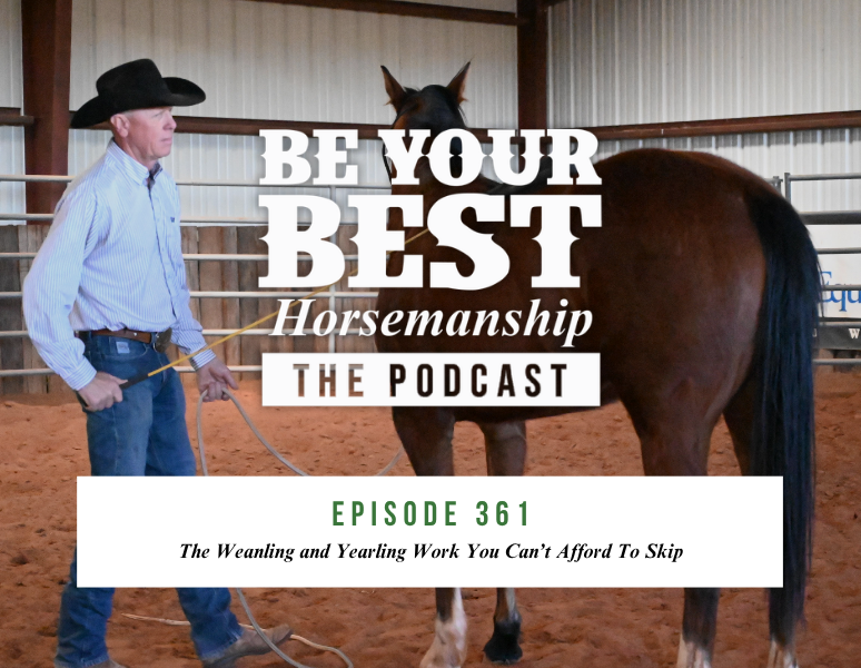 Ep 361: The Weanling and Yearling Work You Can’t Afford To Skip