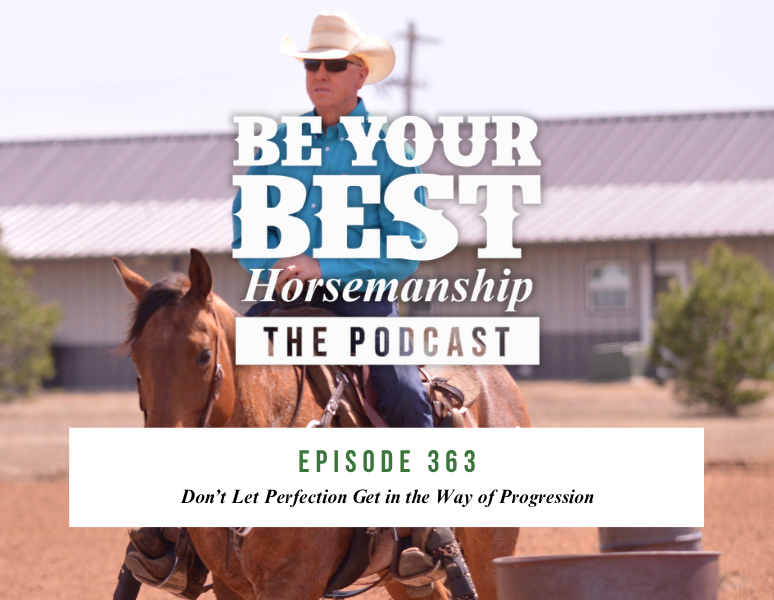 Ep 363: Don’t Let Perfection Get in the Way of Progression 