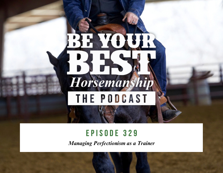 Ep 329: Managing Perfectionism as a Trainer