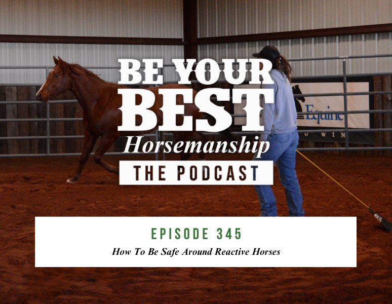 Ep 345: How To Be Safe Around Reactive Horses