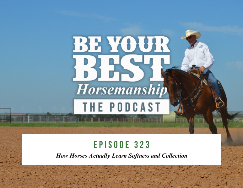 Ep 323: How Horses Actually Learn Softness and Collection