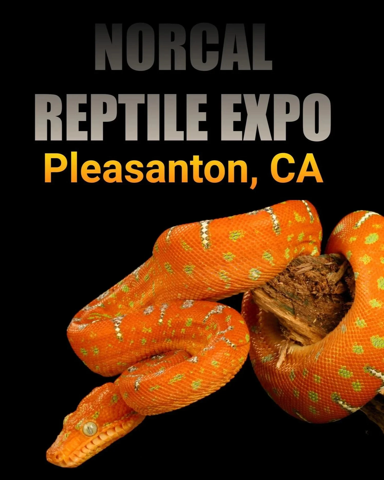 NorCal Reptile Expo