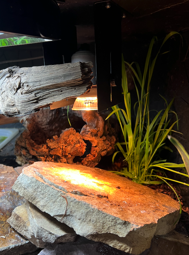 Screen Shot 2026-03-11 at 4.36.43 PM.png