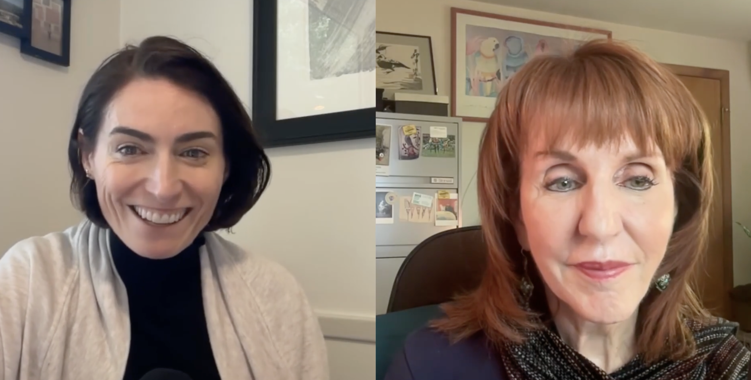 Brain Stories Connections: Inside Conversation About Gail Freedman's New Film on Mental Illness