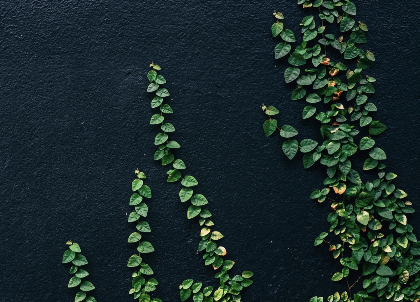 SFOX &amp; UPA To Make UPCO2 Carbon Credit Token Globally Available