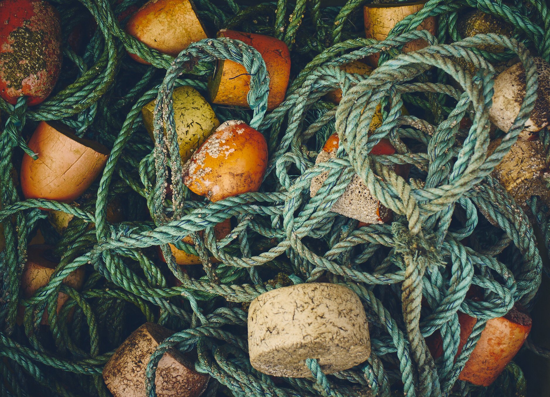 20210302_EatingWell_Fishing_19.jpg