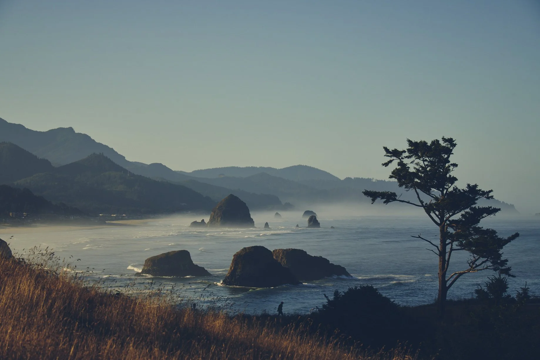 CannonBeach_EcolaStatePark_035.jpg