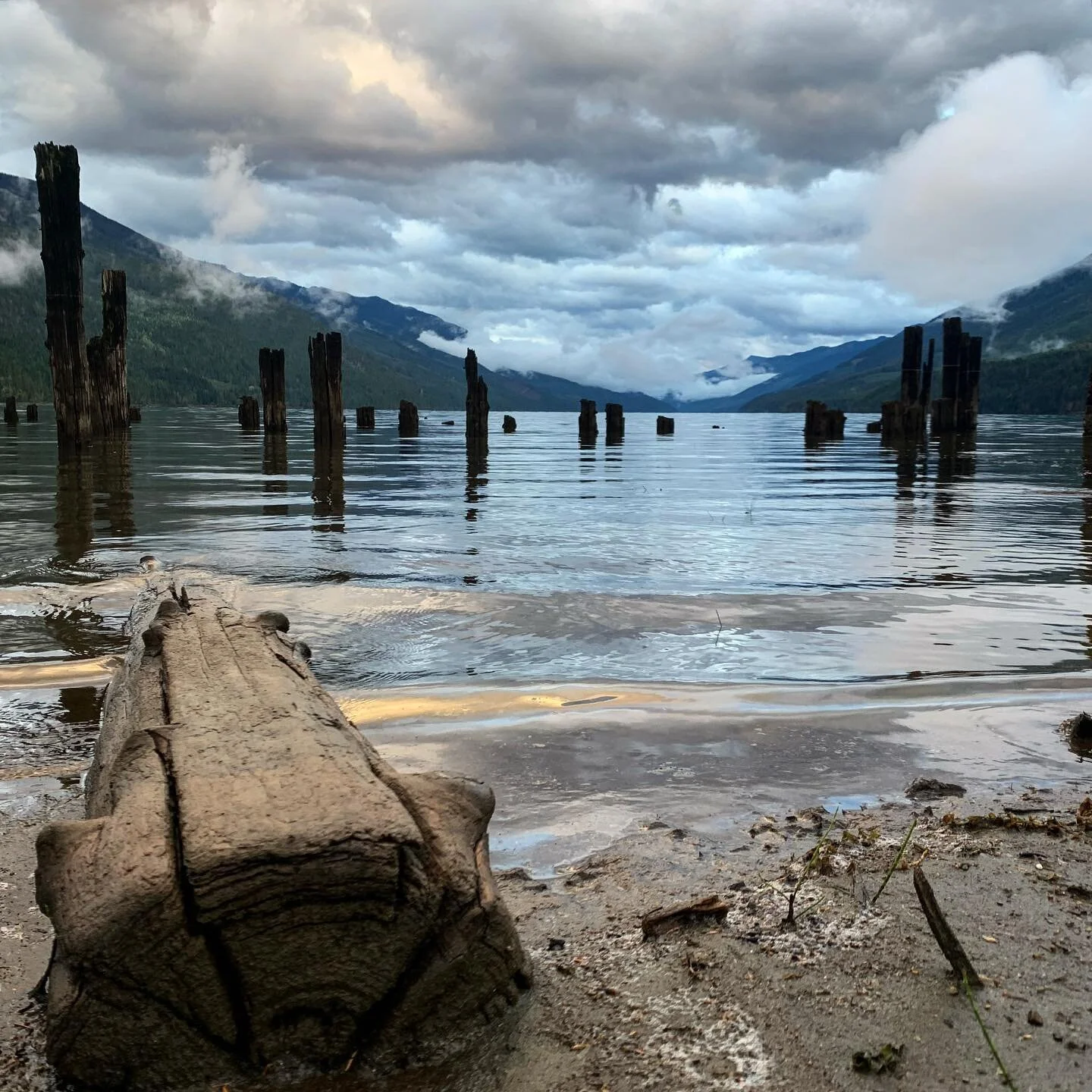Best Coast: The ocean calls; here's to the first place I want to get back too when things are safer.

Let's hope for a year of real growth and development; build on appreciation for what really matters

#bc #ocean #waves #photography #dreams #lake #w