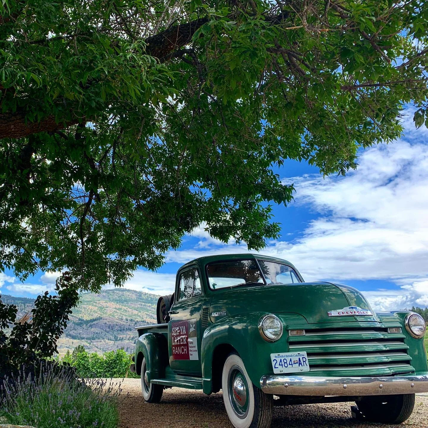 There's a charm in Kelowna I haven't encountered anywhere else. Would be a special place to come back and film in. Not least because of the wonderful people

#film #research #planning #kelowna #BC #vinyard #car #sky #nature #random #photos #funtimes 