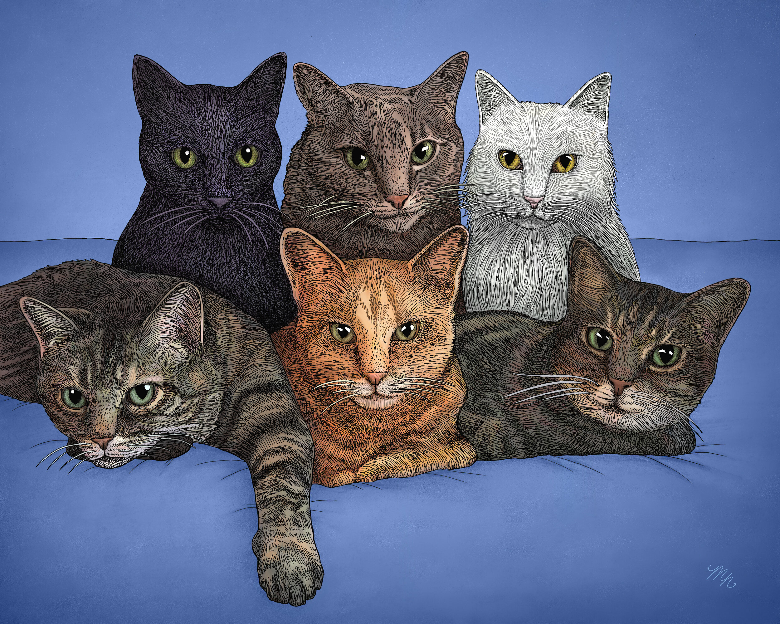 Kitties.jpg