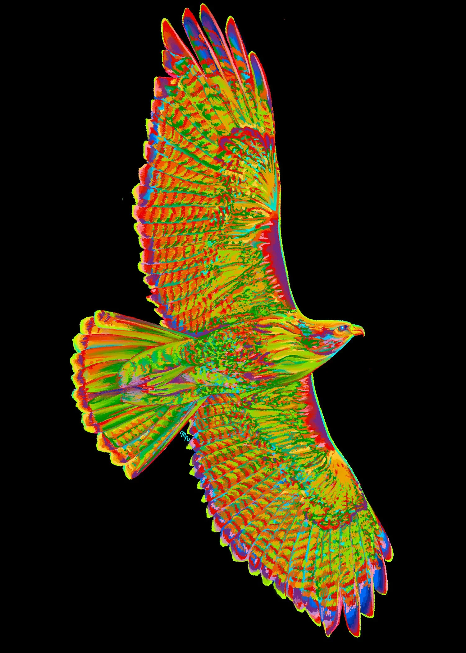 RainbowHawk_BlackBG.jpg