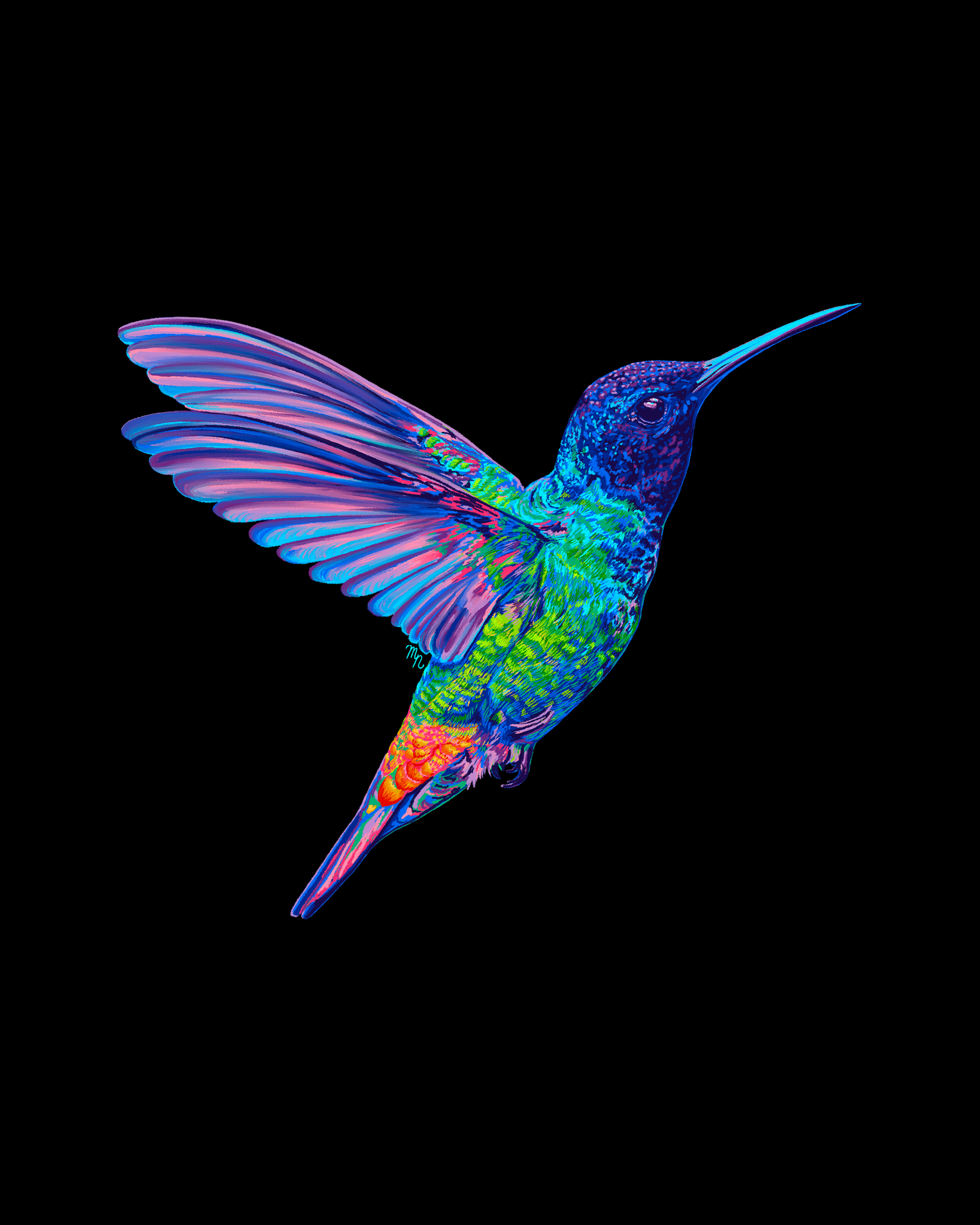 RainbowHummingbird_8x10_BlackBG.png